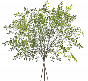 Mehr über den Artikel erfahren Eukalyptus Kunstpflanzen